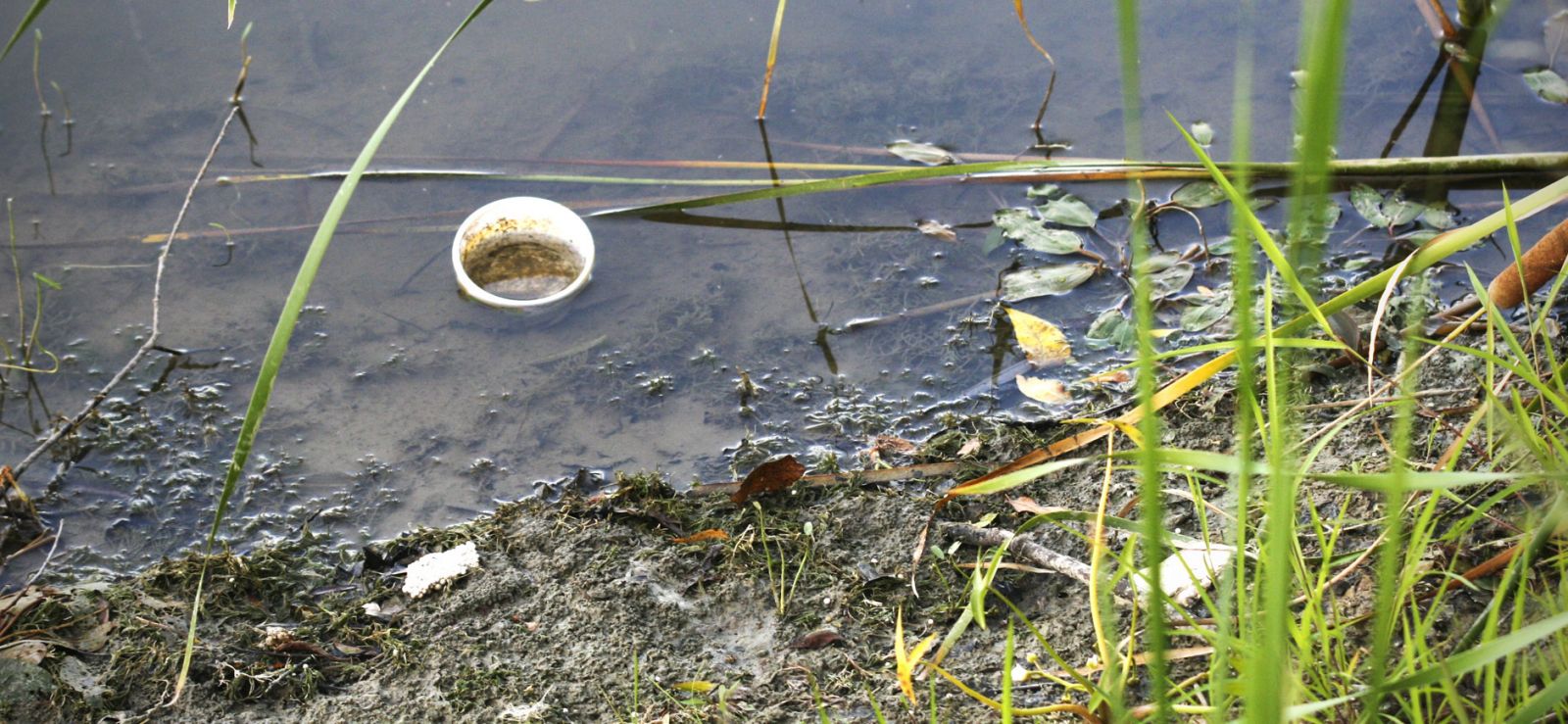 close-up of pieces of garbage floating in a lake