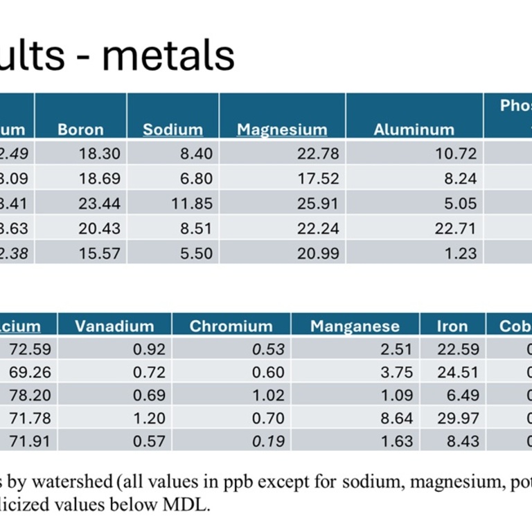 Metals results 2024