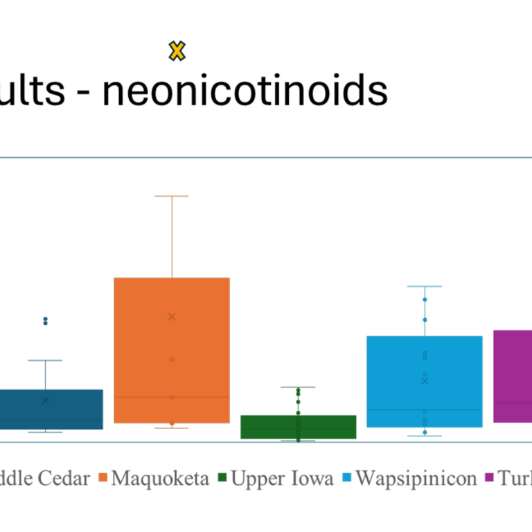 Neonic results 2024 1
